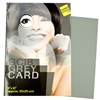 DANES PICTA GC18 GREY CARD 18% 8X10"