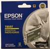 EPSON STYLUS PHOTO R2400 LIGHT BLACK CARTRIDGE